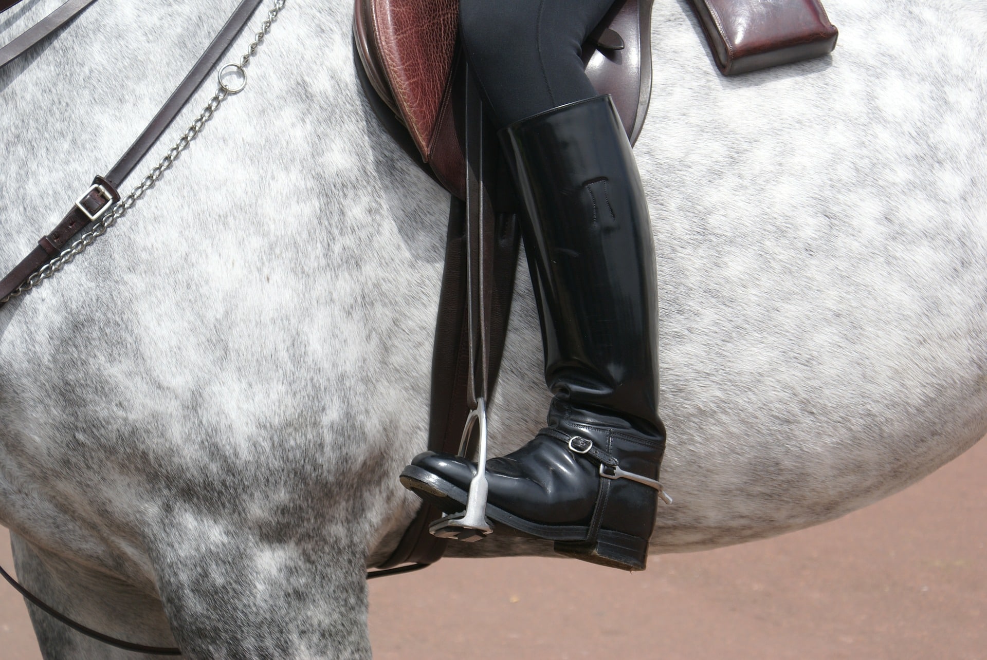 English riding boots