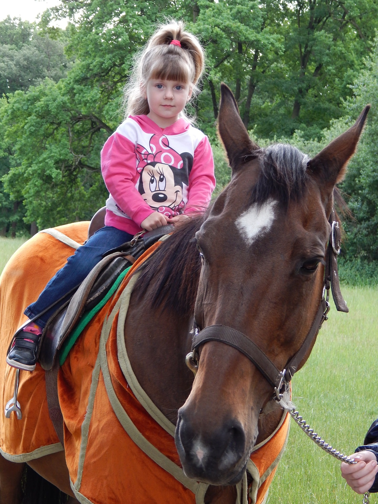 Should I buy my daughter a horse? girls love riding horses