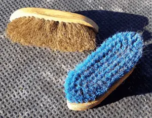 Hard brushes to groom a horse