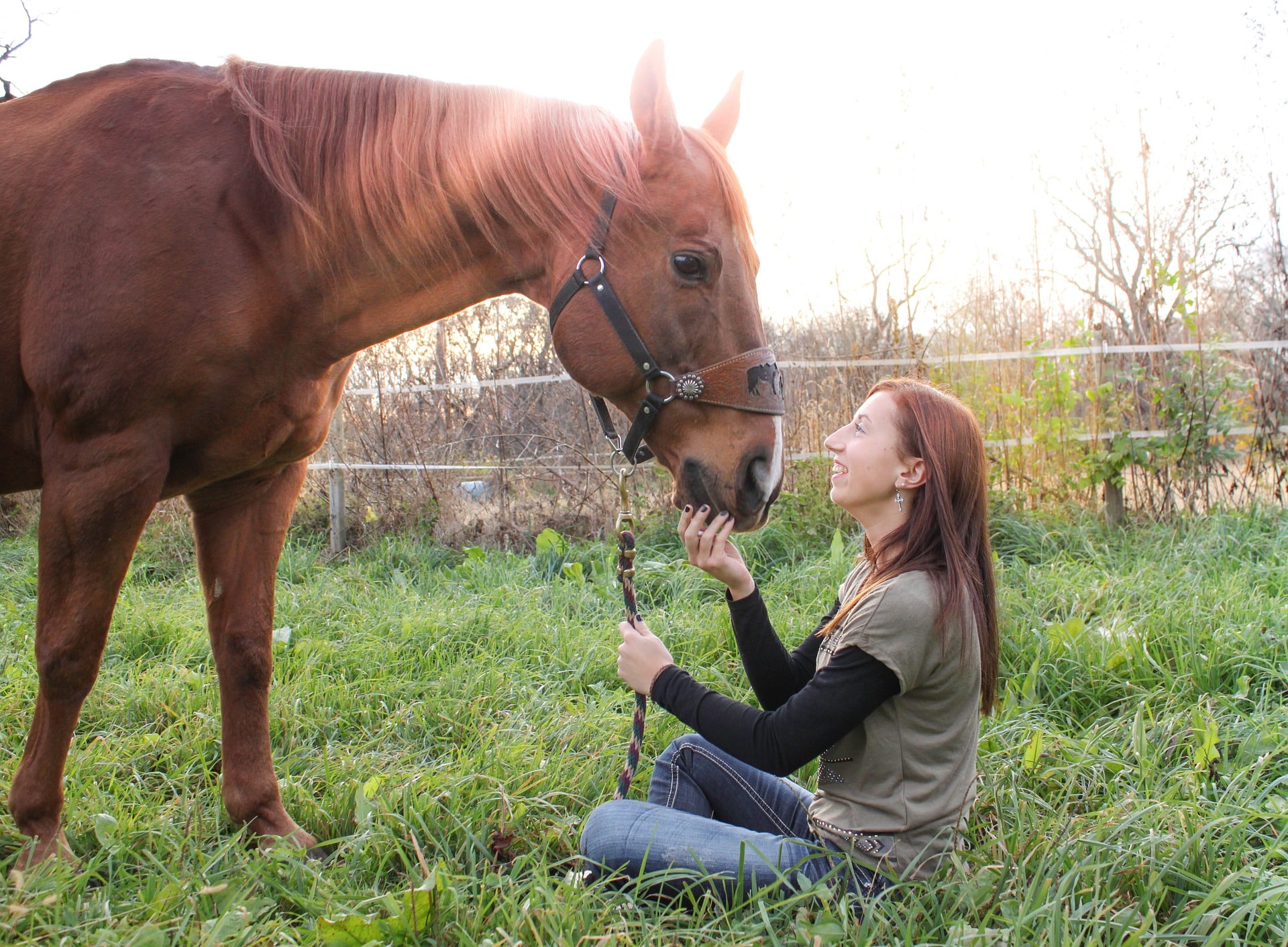 Should I buy my daughter a horse? horses are the best stress relief