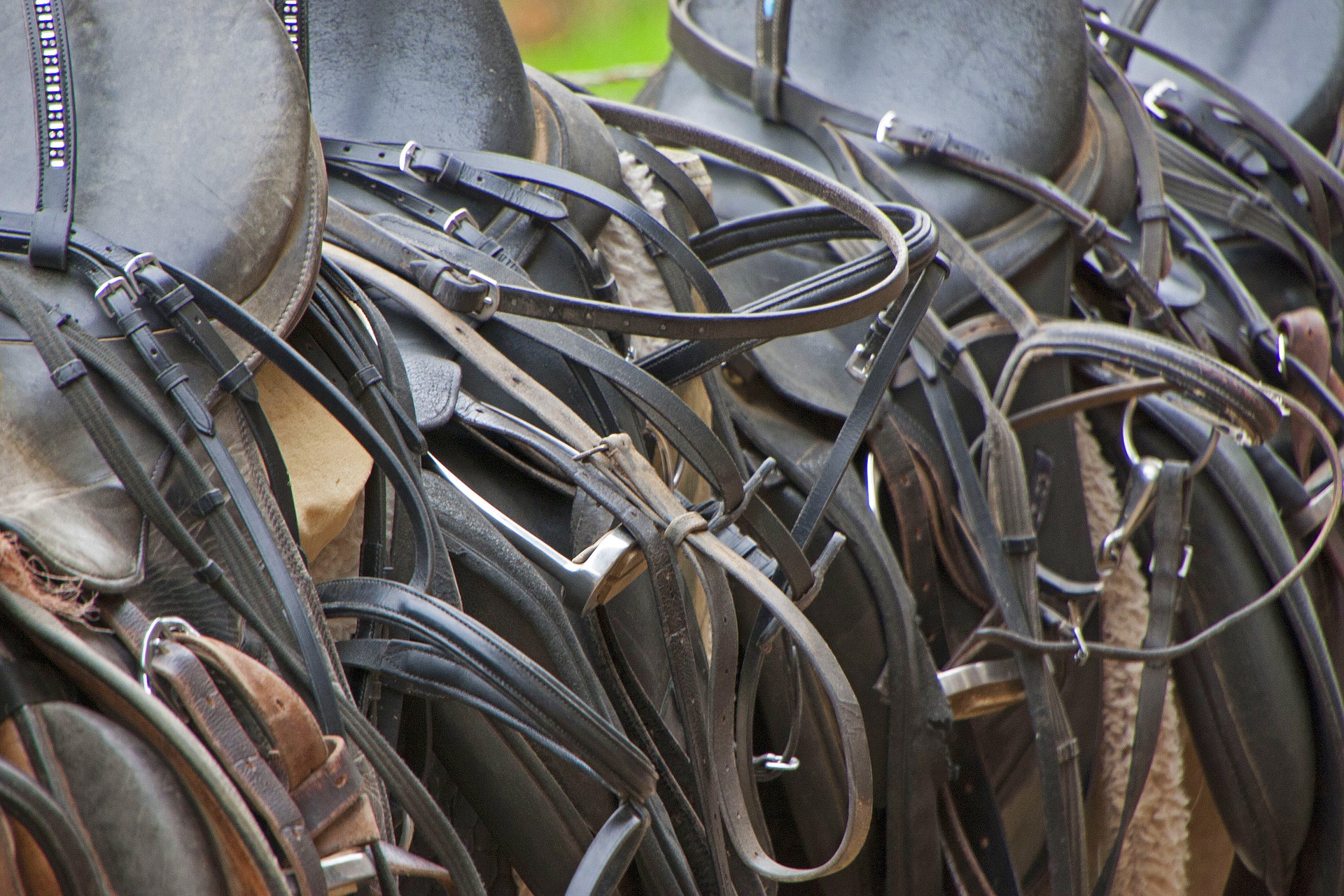 Horse tack and equipment