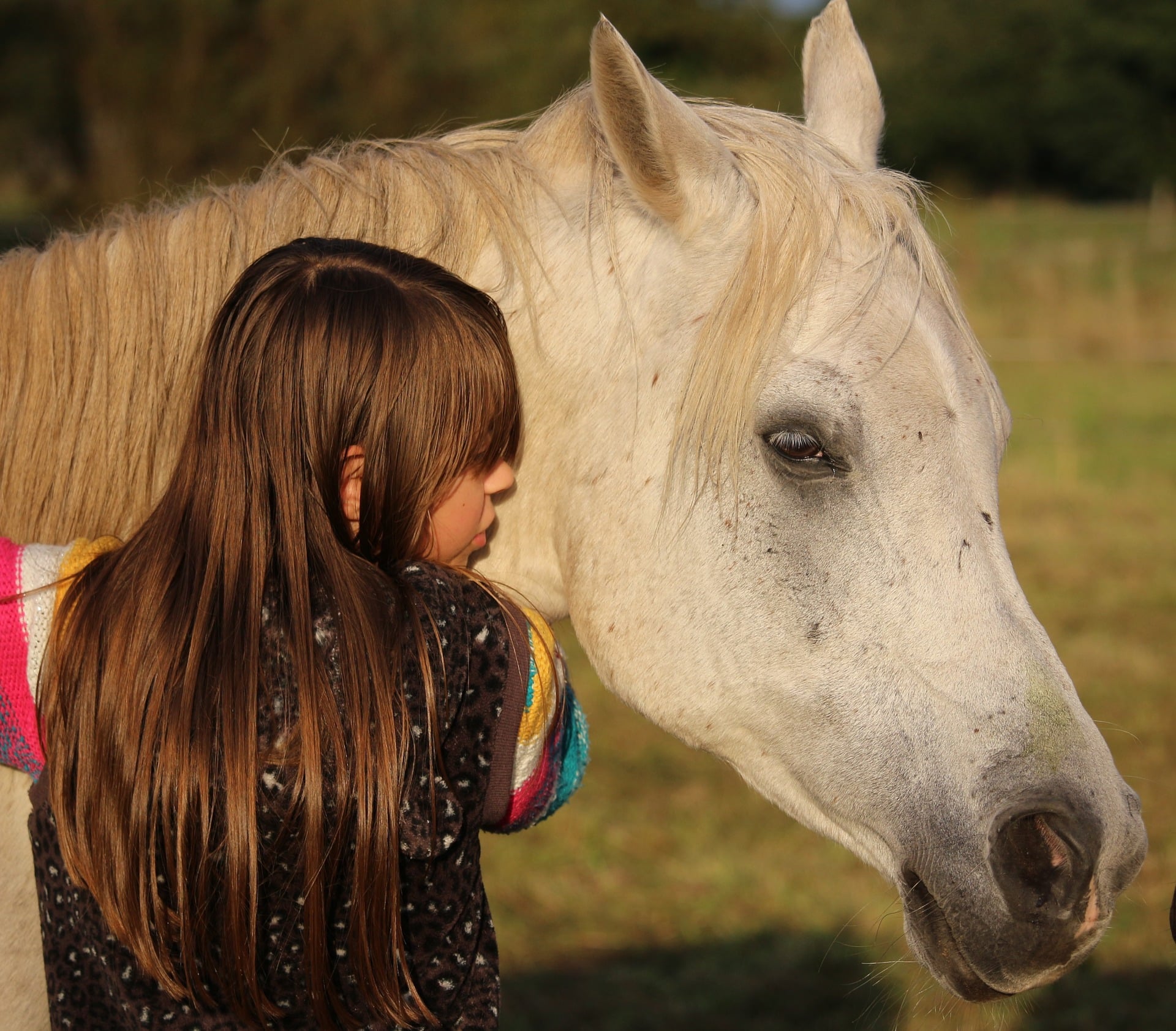 Should I buy my daughter a horse? your daughter's horse will always be there for her