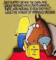 Best Horse Books Ever