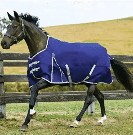 Weatherbeeta Comfitech Horse Blanket