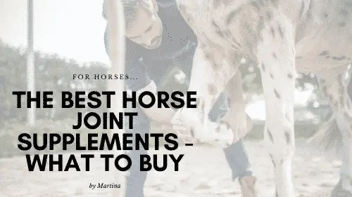 Best Horse Joint Supplement Reviews 9