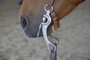 Your Guide to Different Types of Horse Bits | Equestrian Boots and Bridles