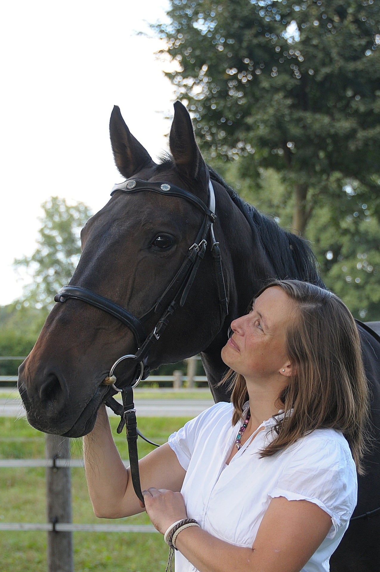 Your guide to different types of horse bits