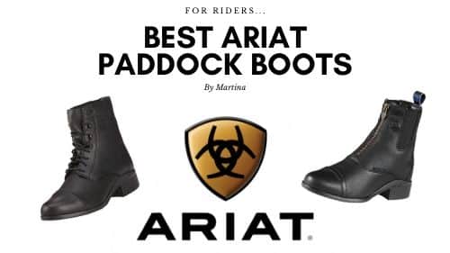 Best Ariat Paddock Boots