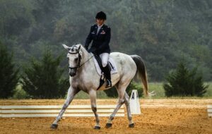 Dressage boots for a dressage competition