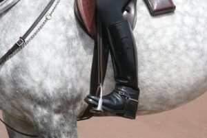 dressage boots need to be clean and shiny
