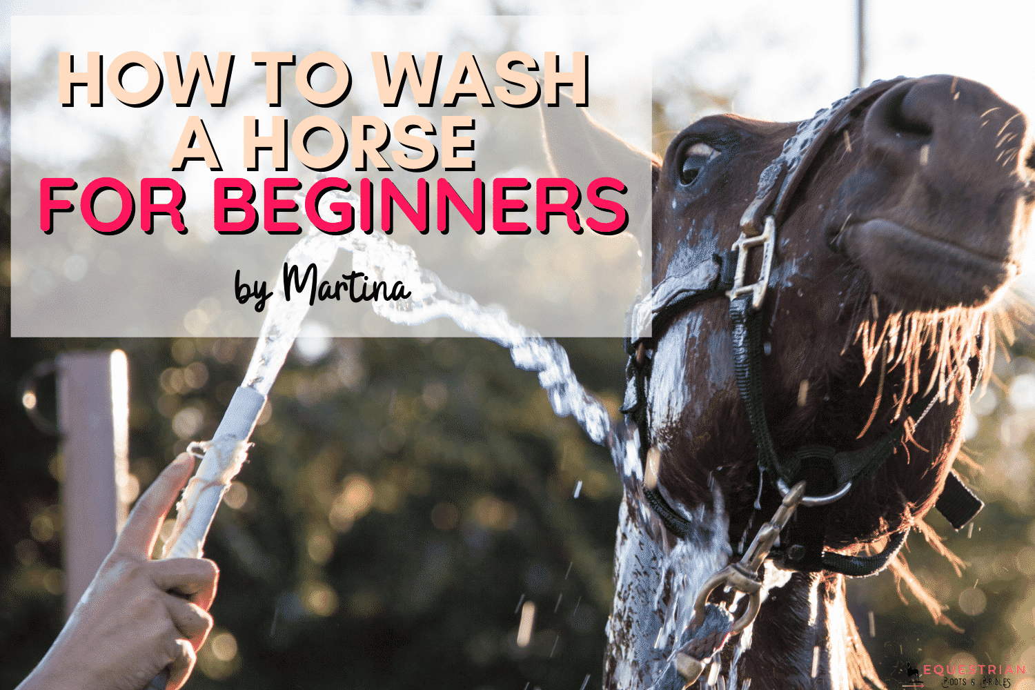 How to Wash a Horse (Step by Step!) Equestrian Boots and Bridles