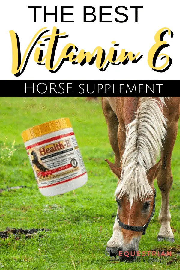 Vitamin E for Horses HealthE Review Equestrian Boots and Bridles