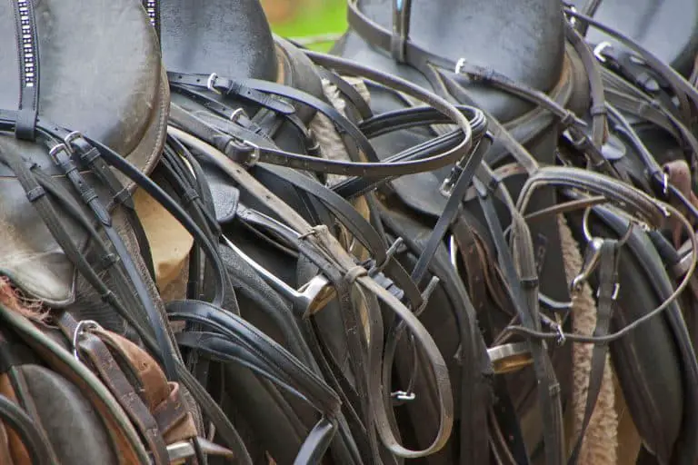 How to Clean a Saddle, the Ultimate Guide Equestrian Boots and Bridles