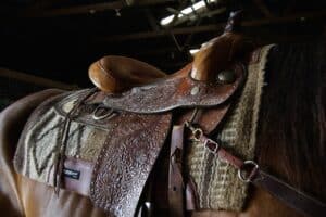 Western saddles are usually more complicated than EnglIsh ones