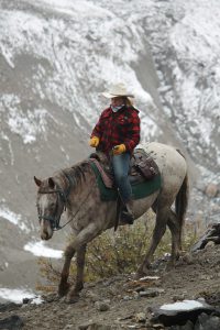 10 Western Horseback Riding Tips for Beginners