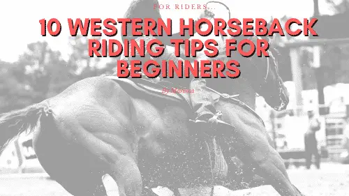 10 Western Horseback Riding Tips for Beginners