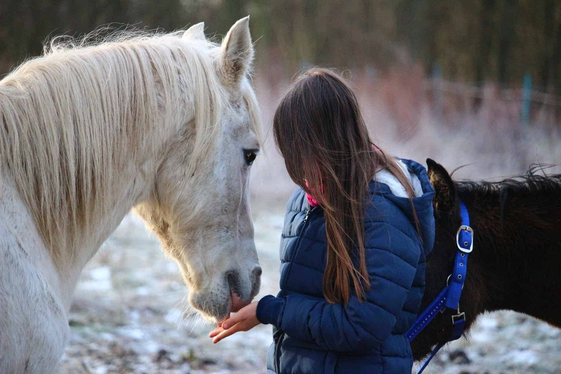 The colder it is the more layers youll need for horseback riding