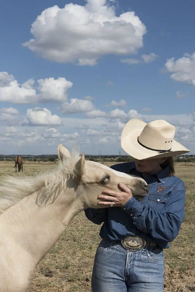 Be Affectionate with your Horse