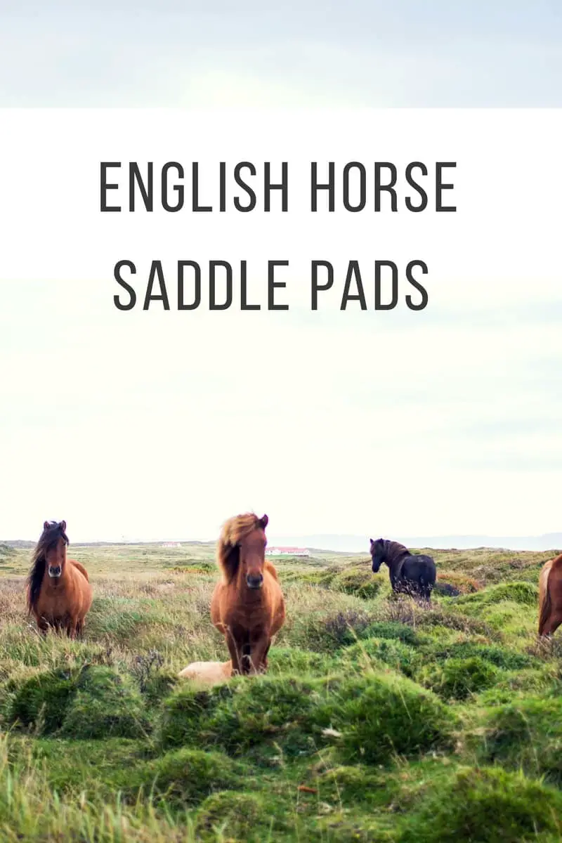 English Horse Saddle Pads