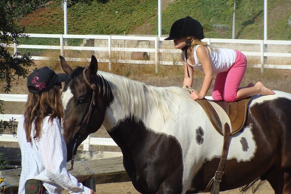 horseback riding equipment for kids