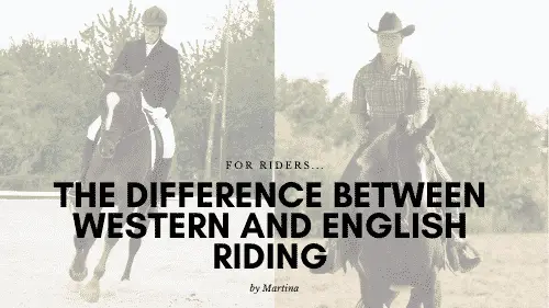 Difference Between Western and English Riding