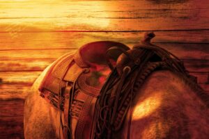 Western Horseback Riding