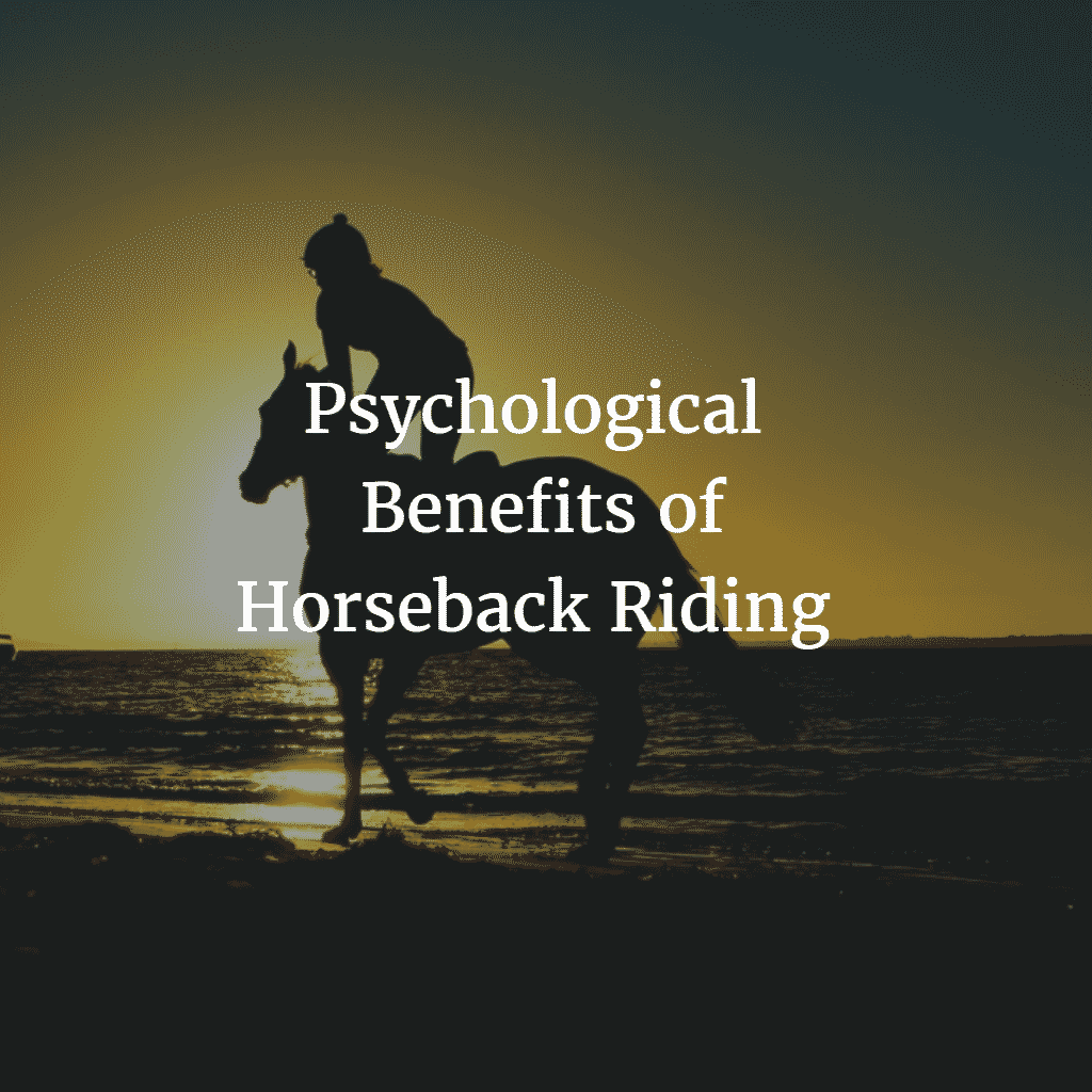Psychological Benefits Of Horseback Riding