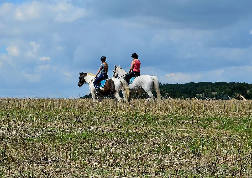 What to Wear Horseback Riding