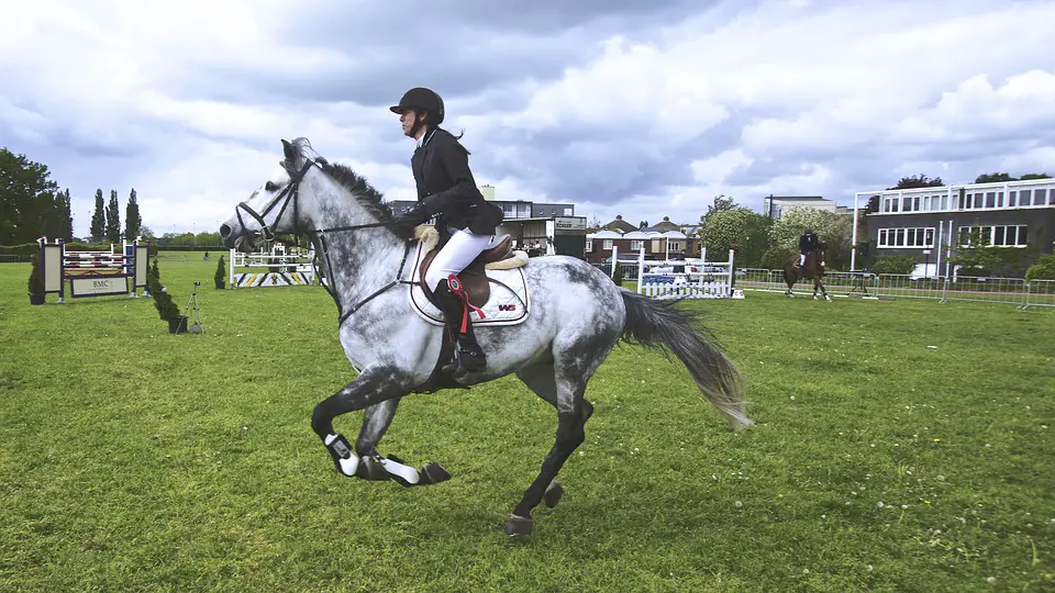 What to Wear Horseback Riding