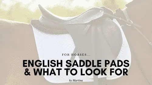 English Saddle Pads
