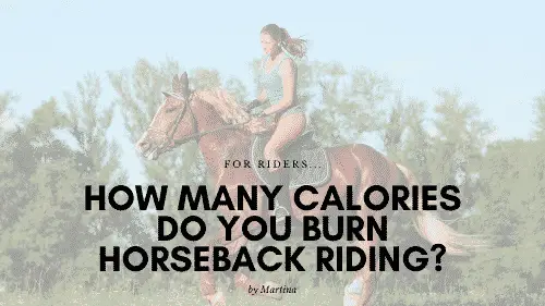How Many Calories Do You Burn Horseback Riding