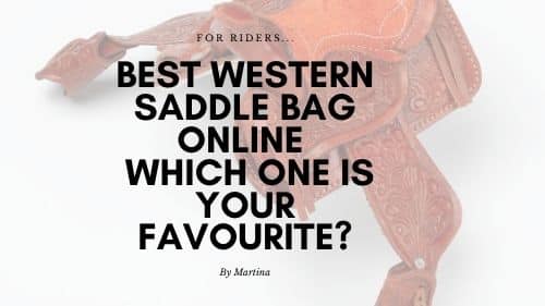 Best Western Saddle Bag