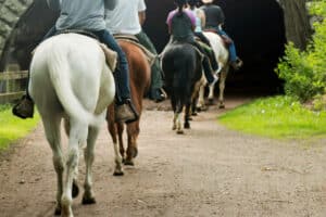 How Far Can You Travel by Horseback