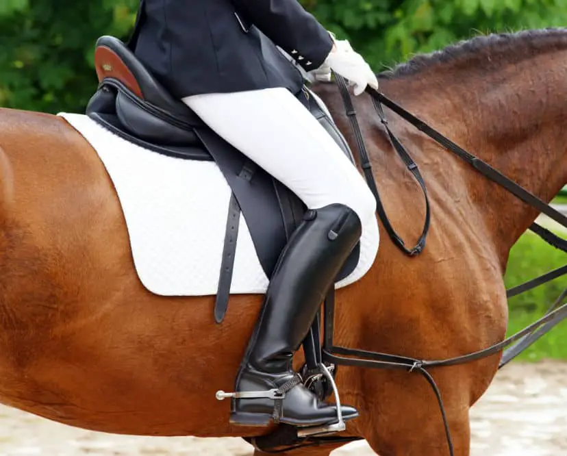 Best Women's Horse Riding Boots - What 