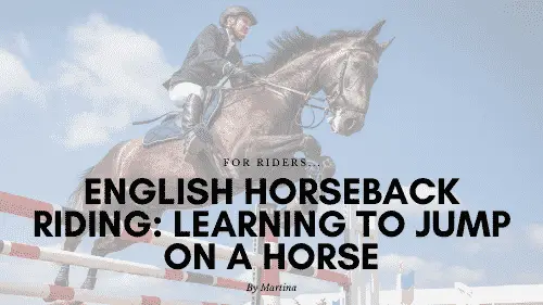 English Horseback Riding: Learning to Jump on a Horse 1