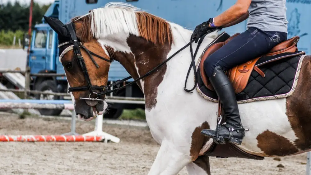 walk-to-trot riding aide