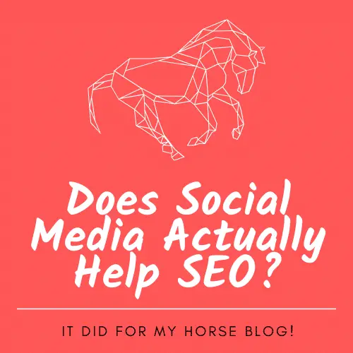 Does Social Media Help SEO? It did for my Horse Blog