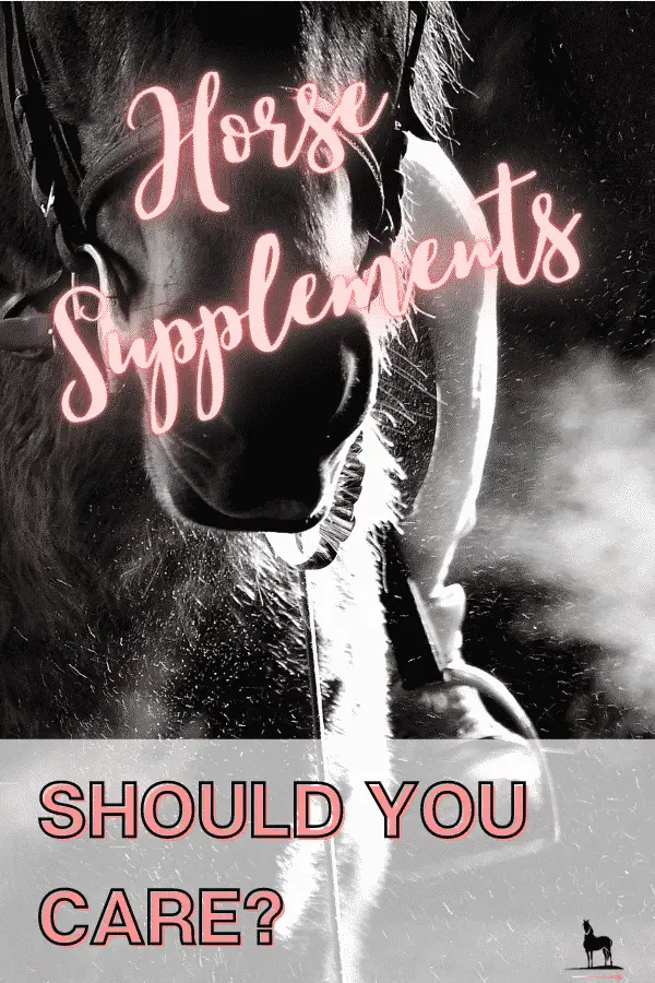 Should You Care About Horse Supplements For Your HorsE?