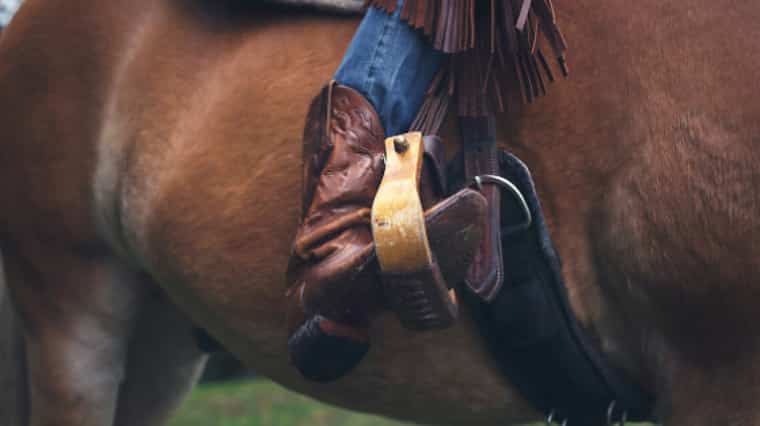 western riding boots