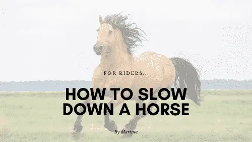 How to Slow Down a Horse