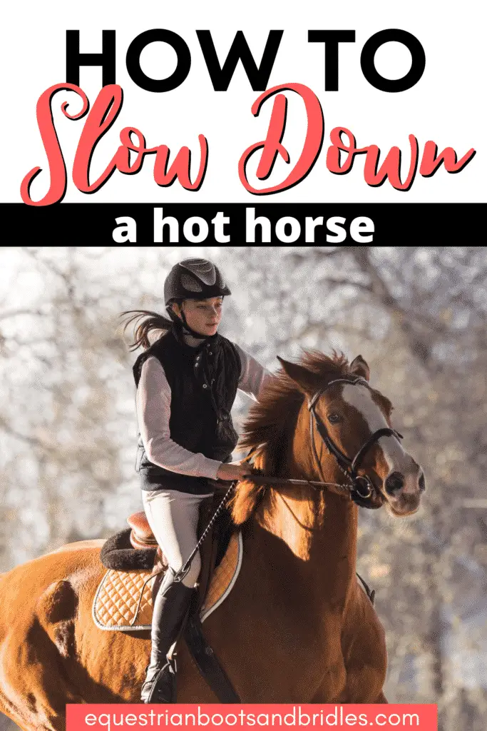 How To Slow Down A Horse 8