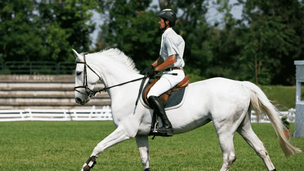 understanding bit pressure and How To Slow Down A Horse