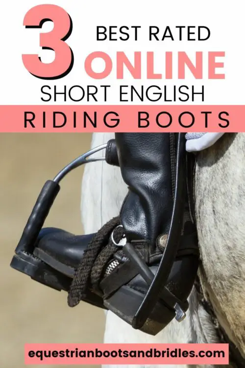 The 3 Best Paddock Boots Equestrian Boots and Bridles