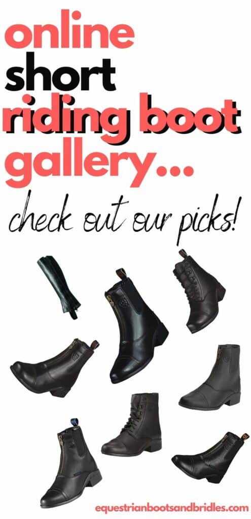 best short english riding boots