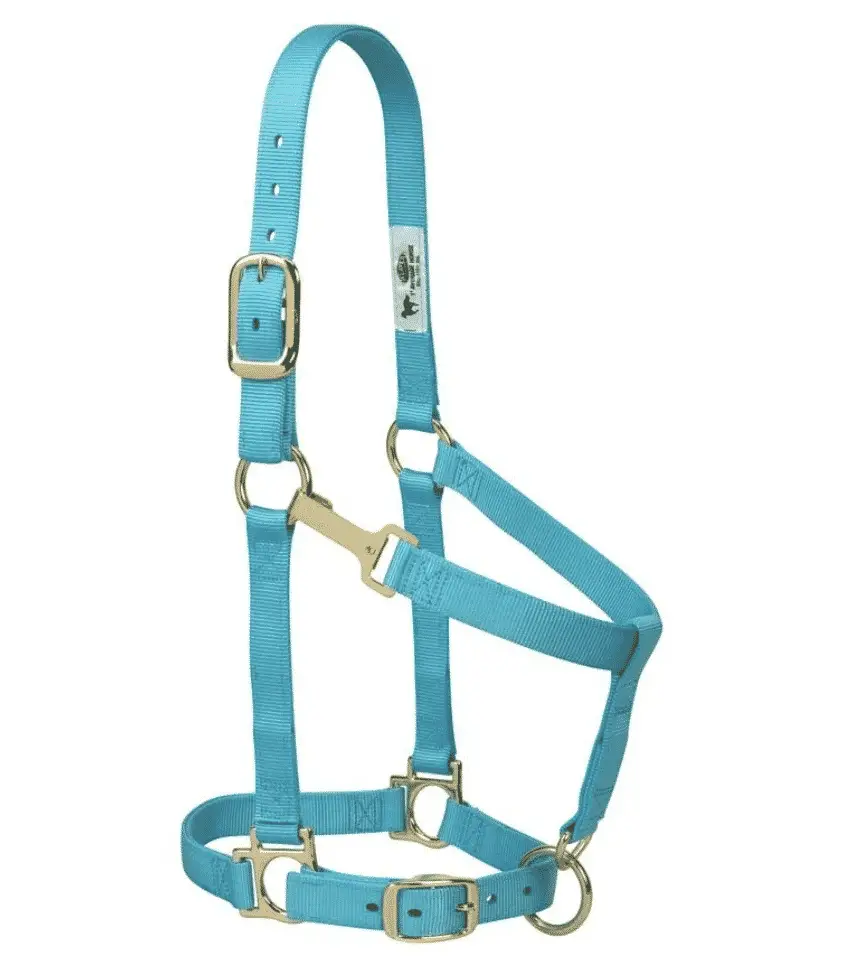 Weaver Leather Turquoise Halter