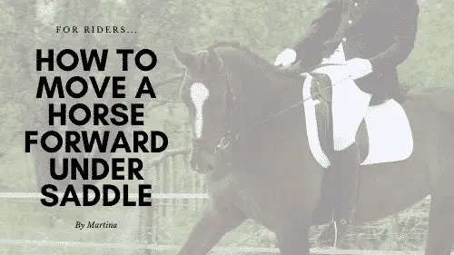 Move a Horse Forward Under Saddle