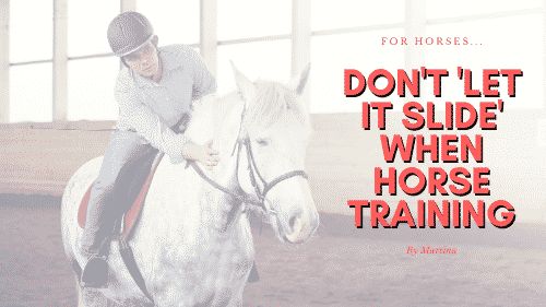 Don't Let it Slide Horse Training