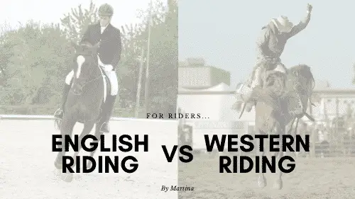 English Riding vs Western Riding