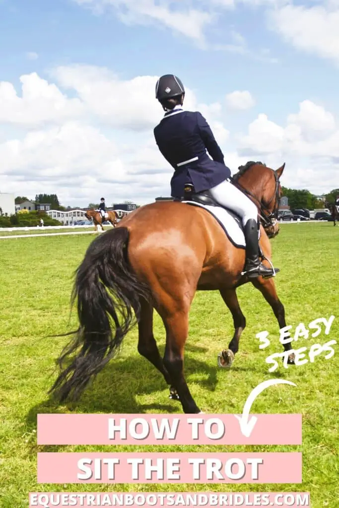 How to sit the trot. horse tips that will help you become a better rider