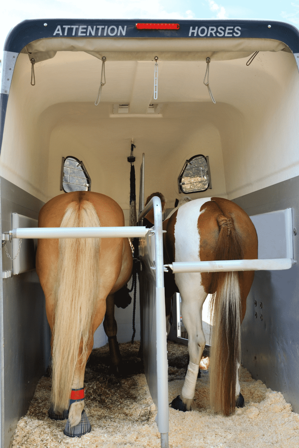 How to Train a Horse to Load in a Trailer